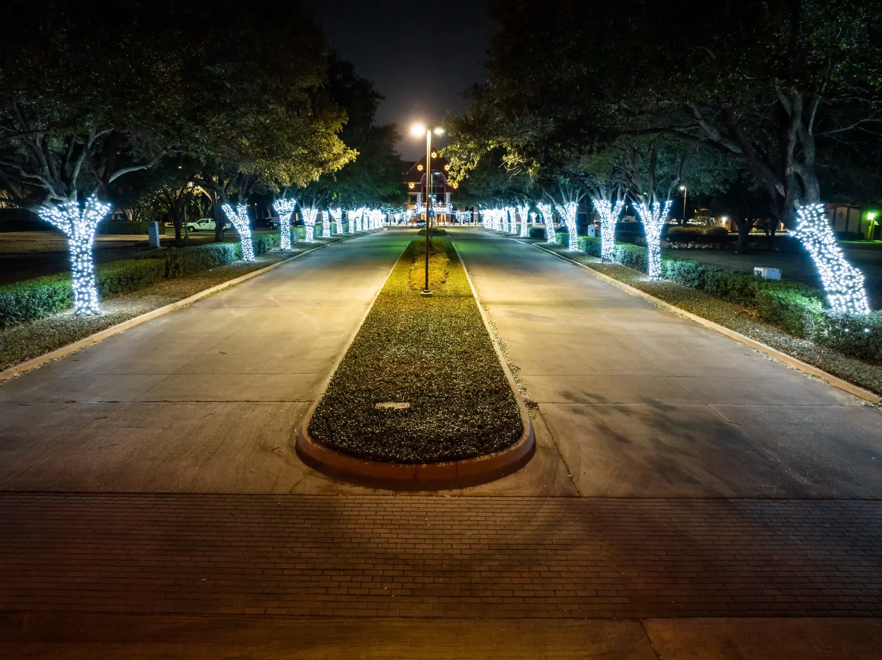 Commercial holiday lighting along a professionally illuminated drive