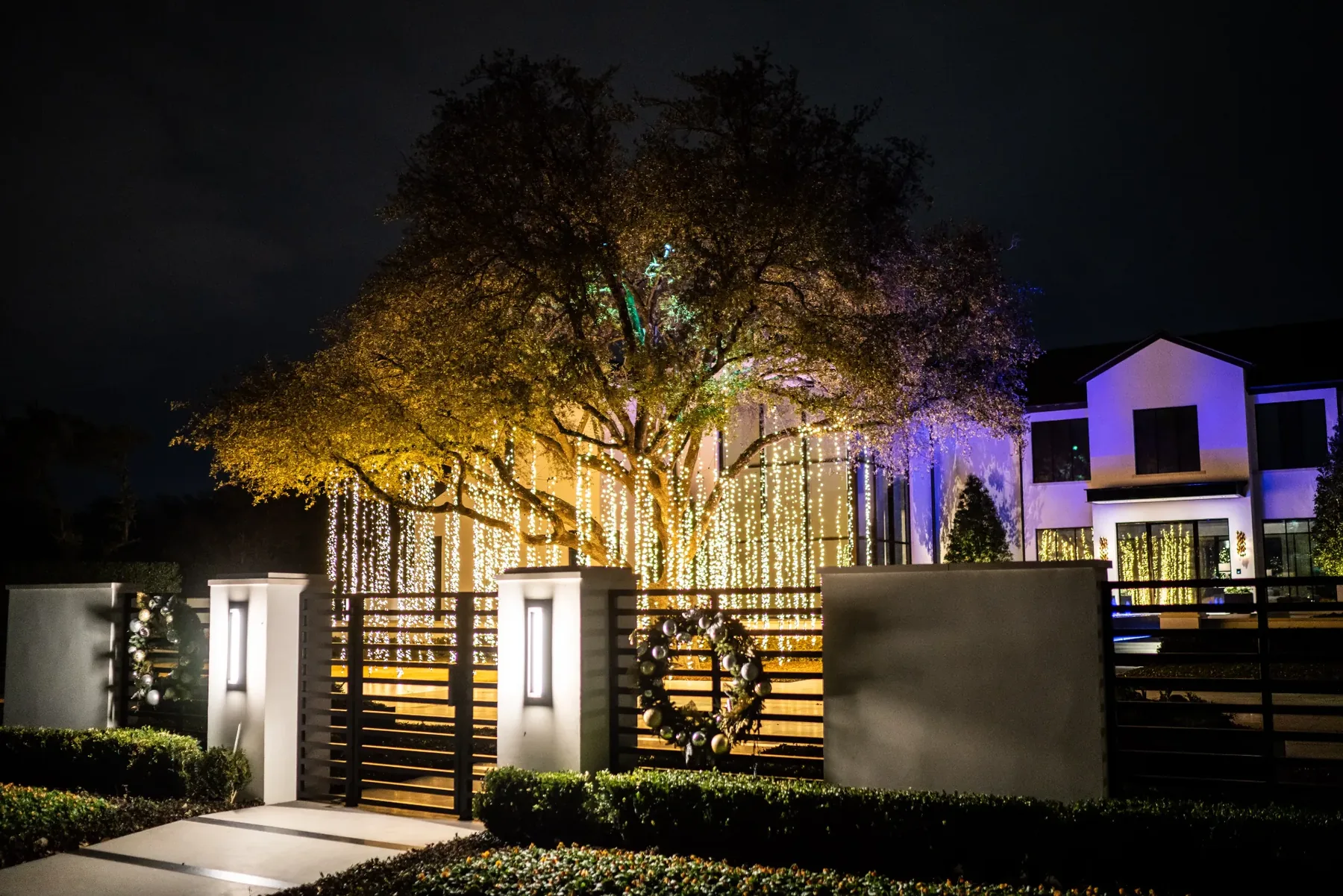Modern Entry & Landscape Lighting thumbnail