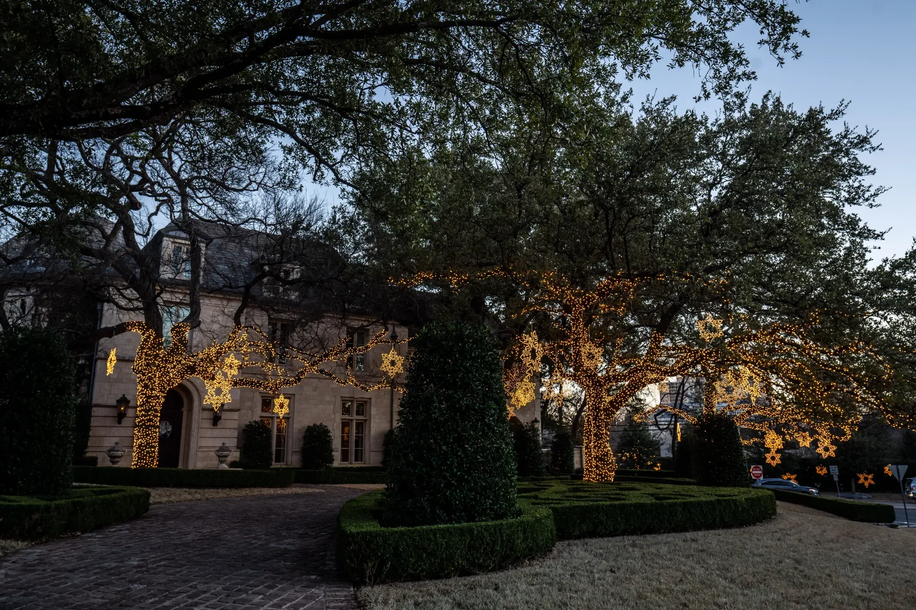 Estate tree canopy lighting in the Corpus Christi area